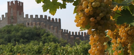 INCHIESTA!! Cosa succede al Soave e ai suoi produttori!